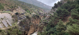 Lees meer over het artikel Jueves 31/03/2022