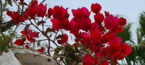 Lees meer over het artikel Rainy day