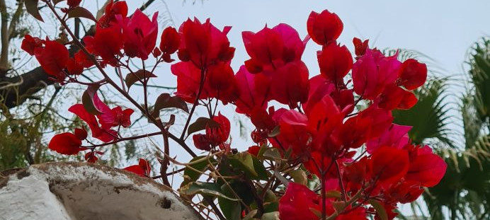 Je bekijkt nu Rainy day