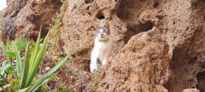 Lees meer over het artikel BLOG ARNAUD