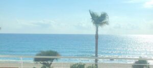 Lees meer over het artikel private party