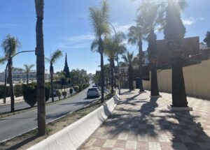 Lees meer over het artikel 8 maart 2024