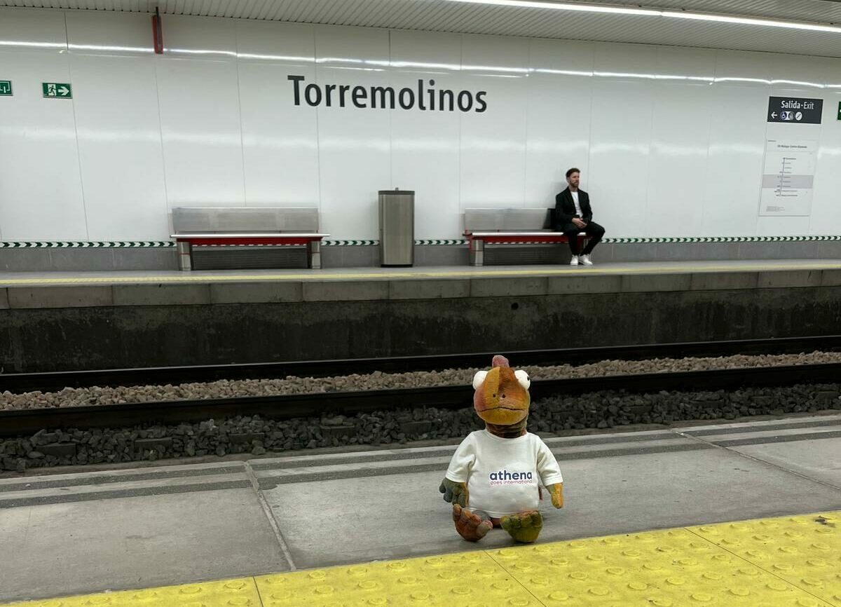 Je bekijkt nu dinsdag 11 februari