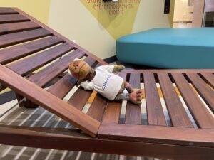 Lees meer over het artikel 18 Februari