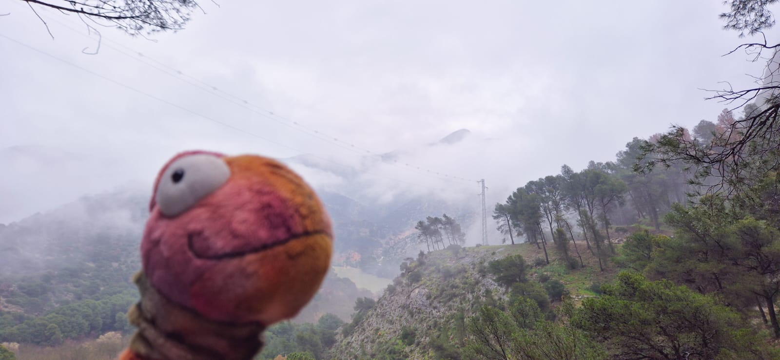 Lees meer over het artikel Zaterdag 22 Februari