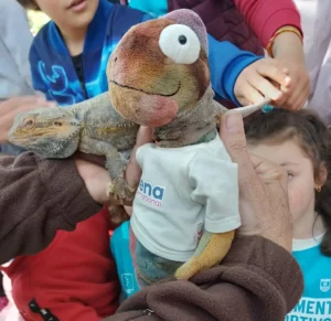 Lees meer over het artikel Donderdag 27 Februari