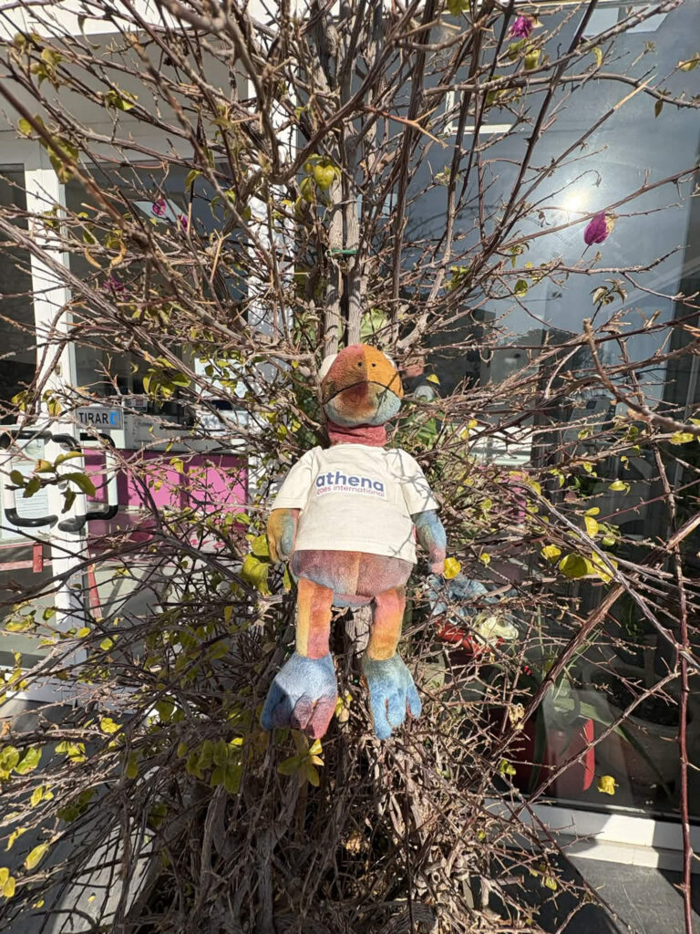 buiten aan de stageplaats