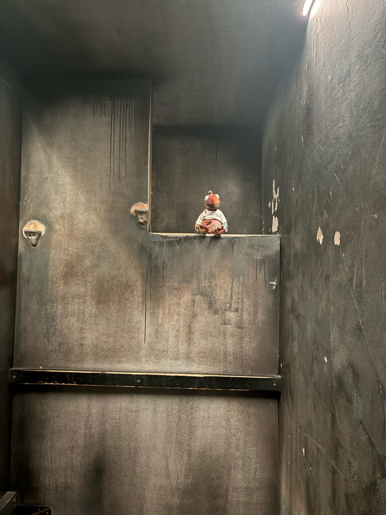 attractie op stageplaats