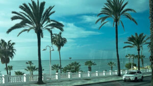 Lees meer over het artikel Stagedag 8: werken en genieten